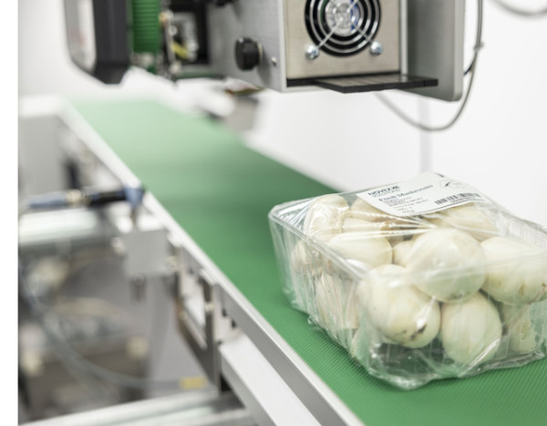 Labelling requirements for the food industry | Advanced Labelling Systems